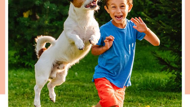 Image-of-boy-playing-with-his-dog