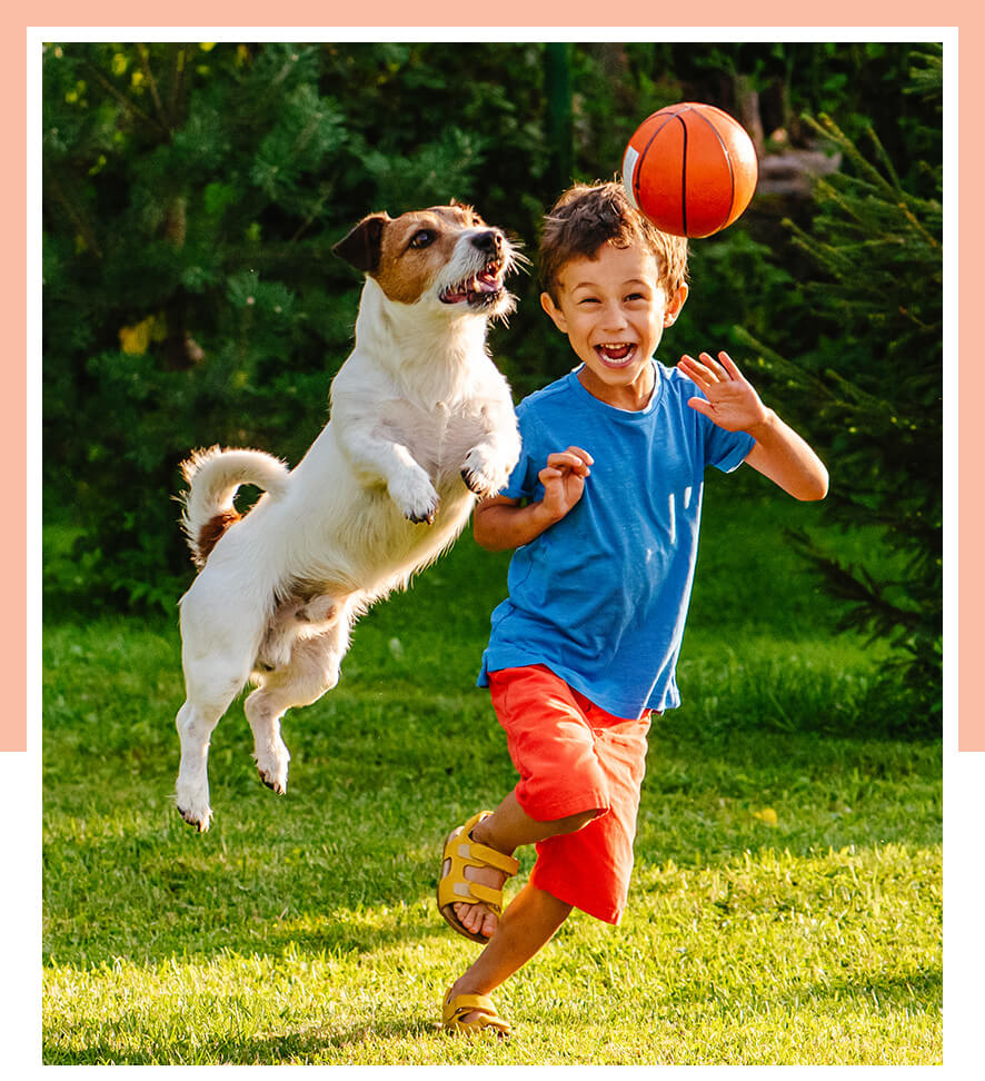 Image-of-boy-playing-with-his-dog